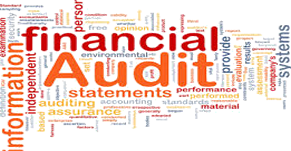 Statutory Audits